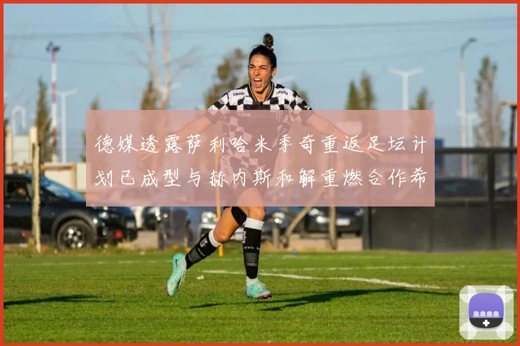 德媒透露萨利哈米季奇重返足坛计划已成型与赫内斯和解重燃合作希望