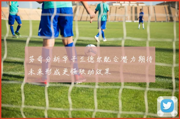 芬奇分析华子兰德尔配合潜力期待未来形成更强联动效果