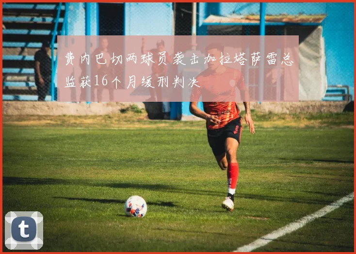 费内巴切两球员袭击加拉塔萨雷总监获16个月缓刑判决