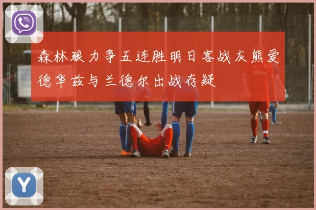 森林狼力争五连胜明日客战灰熊爱德华兹与兰德尔出战存疑